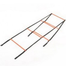 ADSP-11510 Speed Ladders_